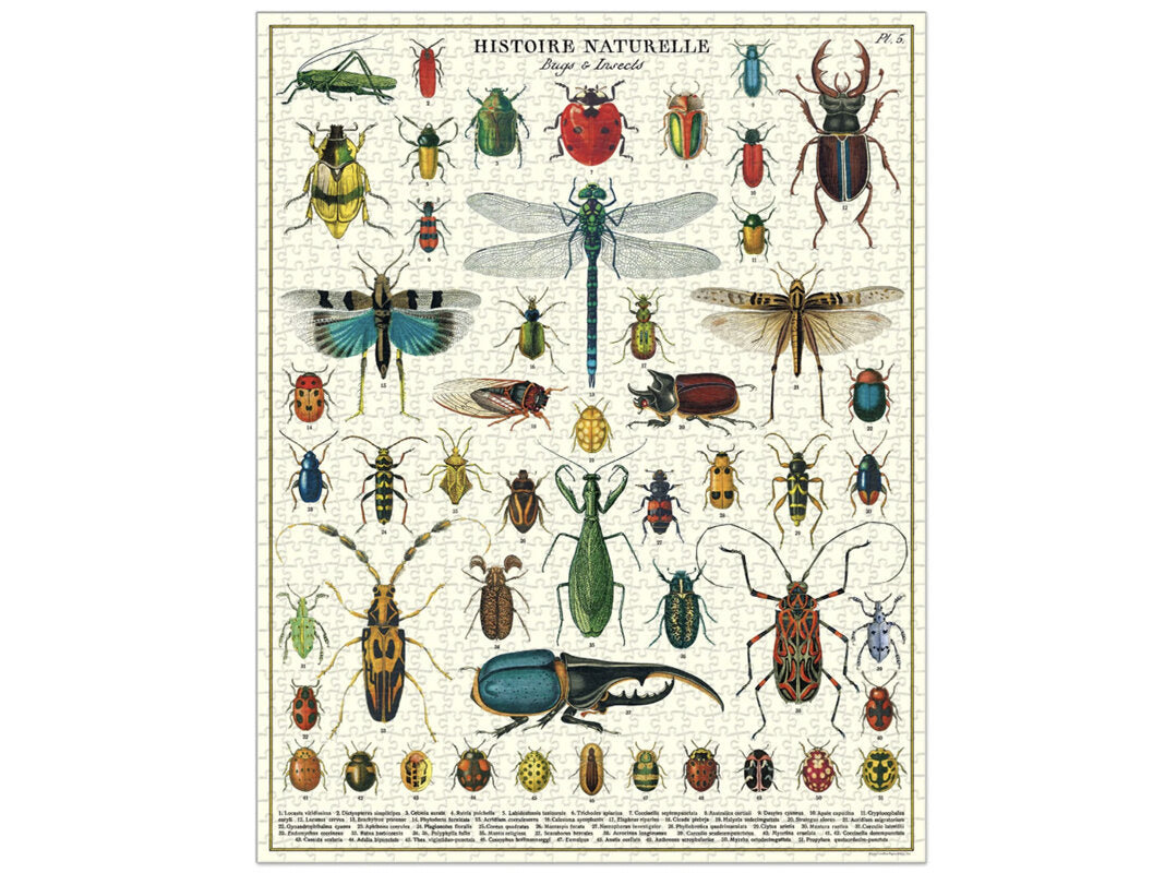 Cavallini & Co Bugs and Insects Vintage Puzzle
