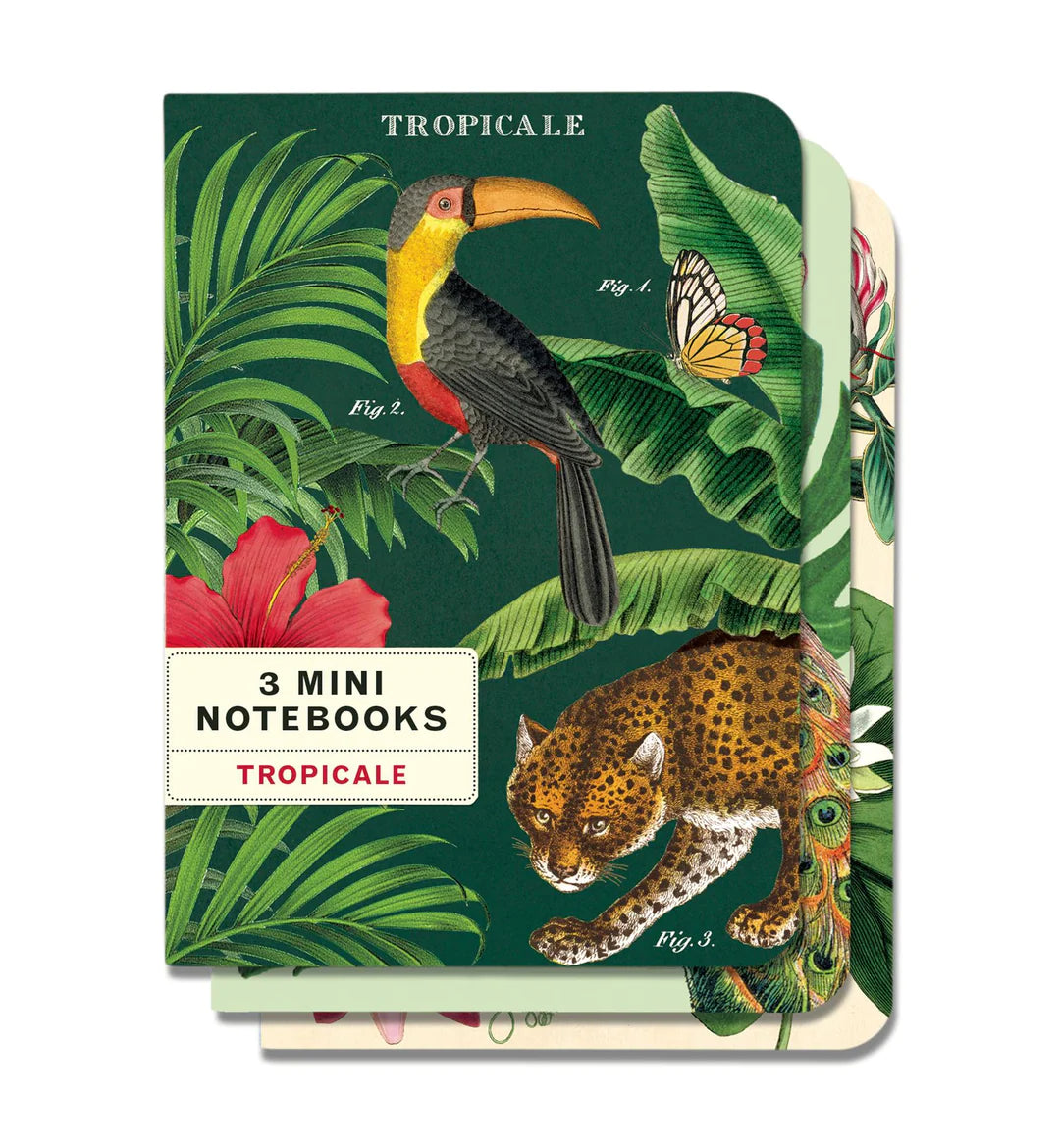 Cavallini Tropicale Notebooks - Set of 3