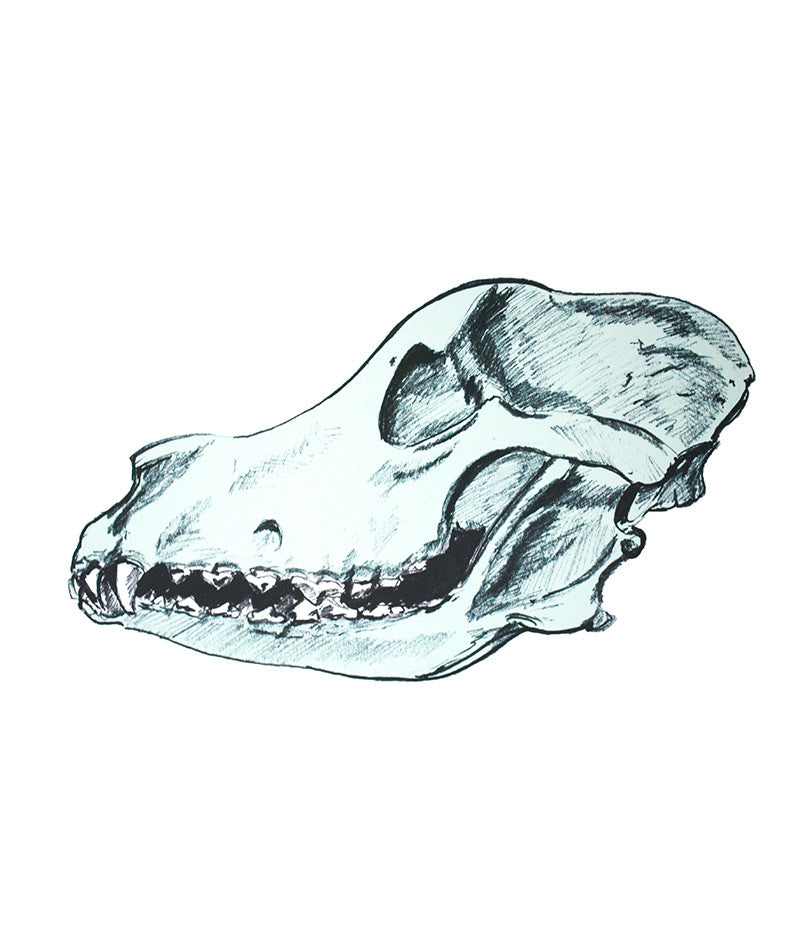 Evie Kemp wall decal - Dog Skull