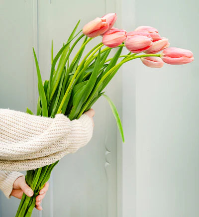 Seasonal tulips