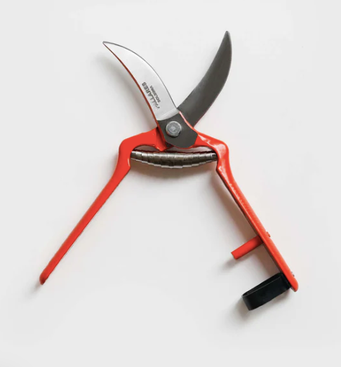 Pallares | Pruning Shears | Vintage Curve Scissor