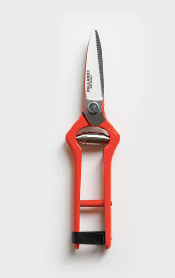 Pallares | Pruning Shears | Vintage straight Scissor