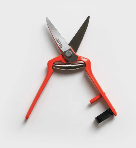 Pallares | Pruning Shears | Vintage straight Scissor