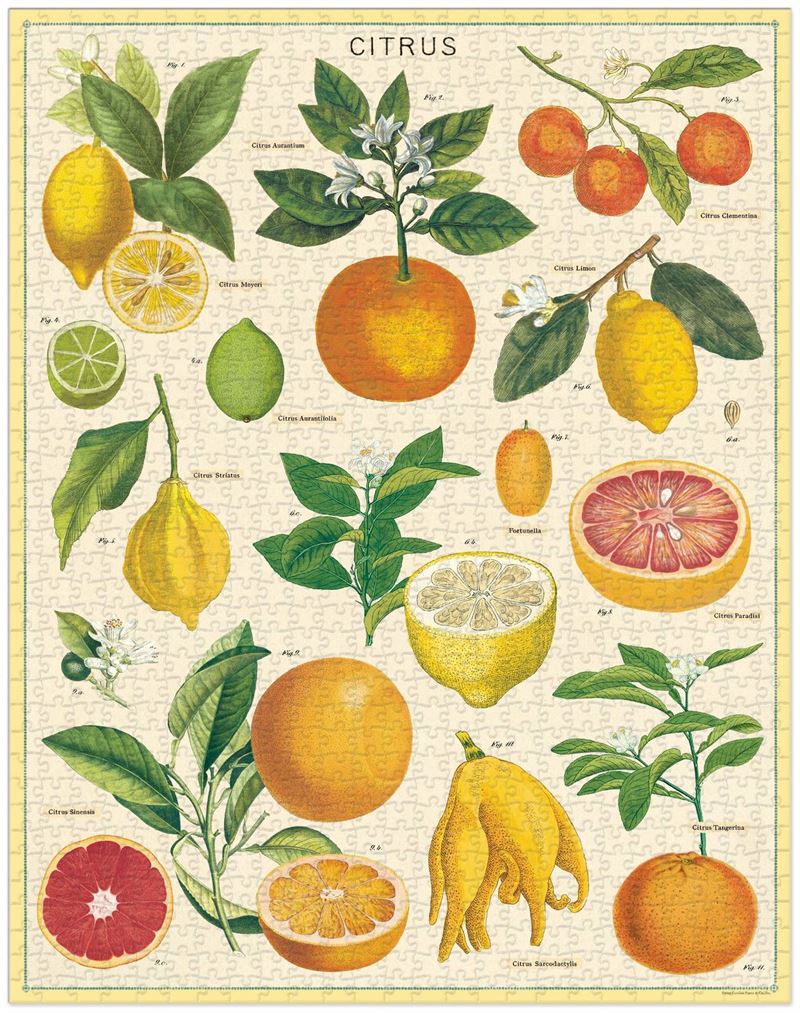 Cavallini & Co Citrus Vintage Puzzle